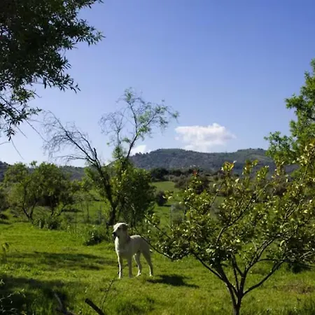 Country house Natachos *